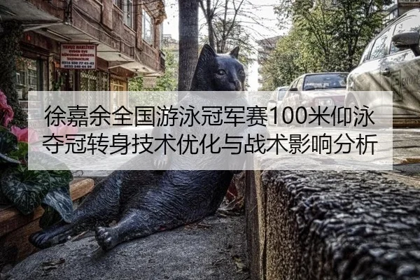 徐嘉余全国游泳冠军赛100米仰泳夺冠转身技术优化与战术影响分析
