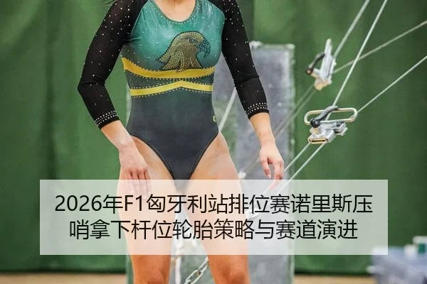 nian-xiong-ya-li-zhan-pai-wei-sai-nuo-li-si-ya-shao-na-xia-gan-wei-lun-tai-ce-lve-yu-sai-dao-yan-jin-2-400.jpg